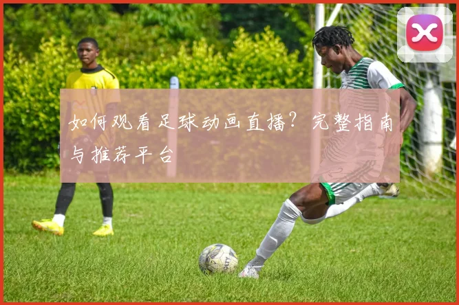 如何观看足球动画直播？完整指南与推荐平台